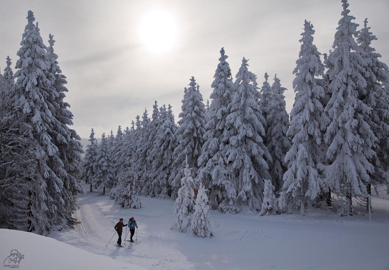 Gipfelstuermer Winterberg Ngoại thất bức ảnh